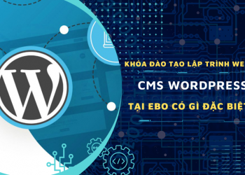 Khóa đào tạo lập trình web bằng CMS Wordpress tại EBO có gì đặc biệt?