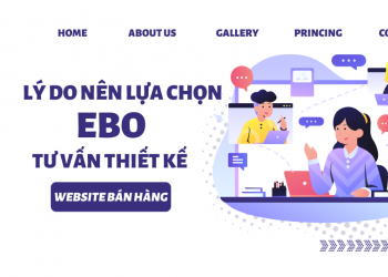 Lý do lựa chọn Ebo.vn tư vấn thiết kế website bán hàng