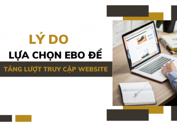 Lý do nên lựa chọn Ebo.vn để tăng lượng truy cập website