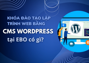 Khóa đào tạo lập trình web bằng CMS Wordpress tại EBO có gì?